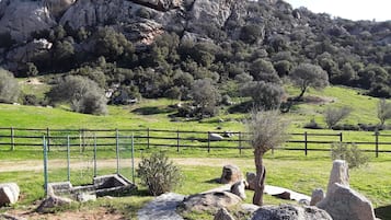 Un paisaje montañoso con una zona cercada que contiene rocas y un árbol.