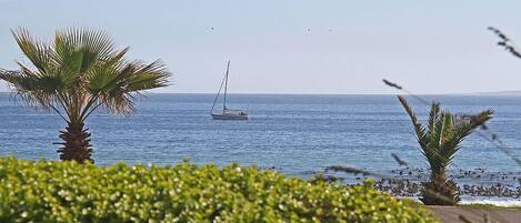 Appartement, 1 chambre, vue ocĂ©an | Vue depuis lâhĂ©bergement