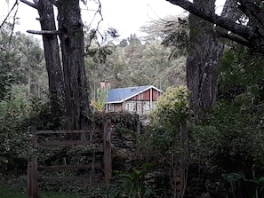 Cottage, vue jardin | Vue de la chambre