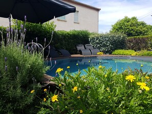 A swimming pool surrounded by lush greenery and lavender plants. - A L'ombre Du Clocher (Calenzana)