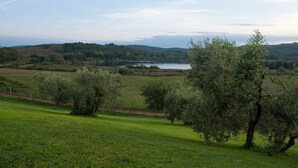 Un paisaje rural con olivos, un lago y colinas onduladas al fondo.