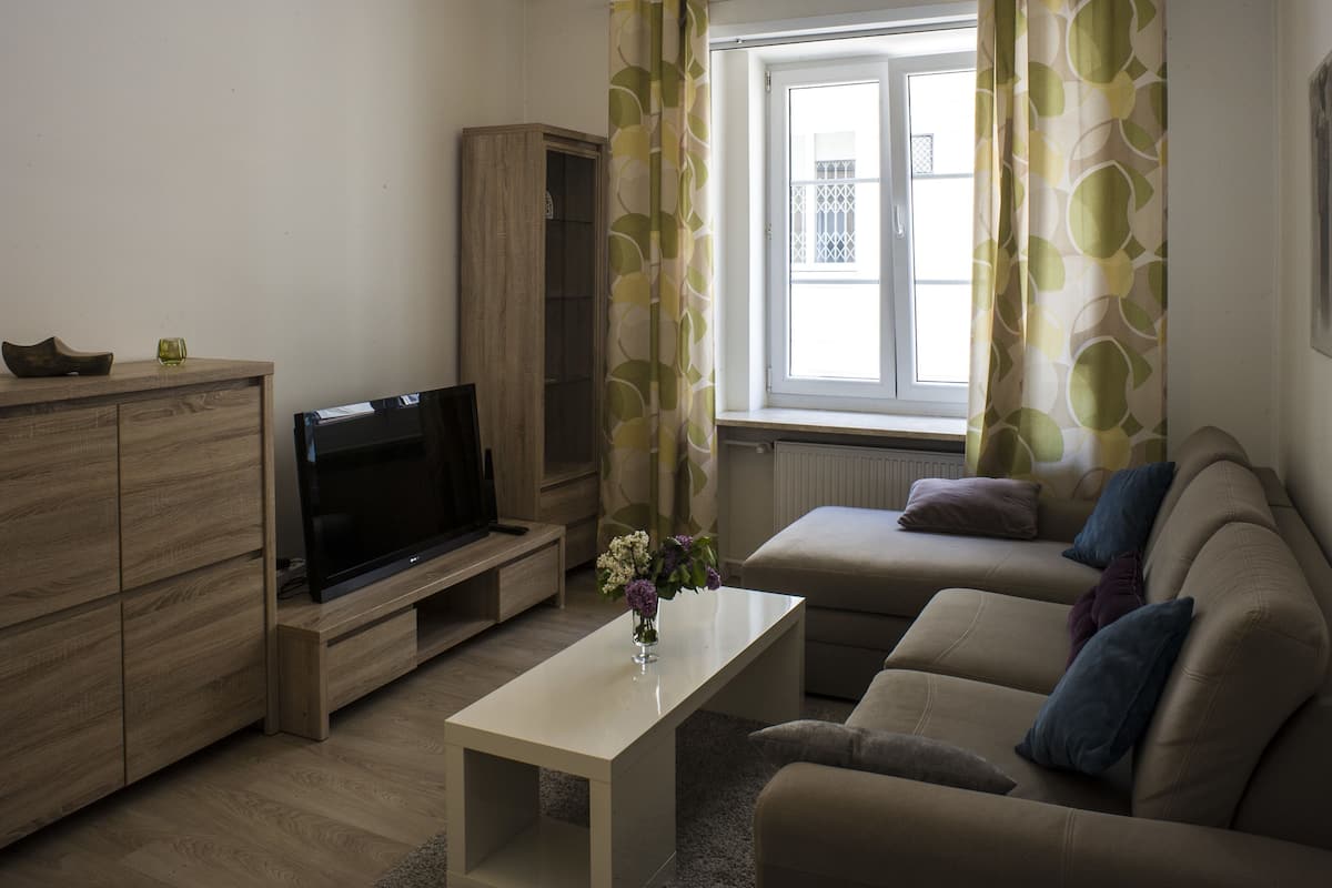 A living room with a TV on a wooden stand, a sofa with cushions, a coffee table with a vase of flowers, and a window with curtains.