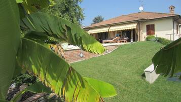 A house with a brick patio, a lawn, and a large tree in the foreground.