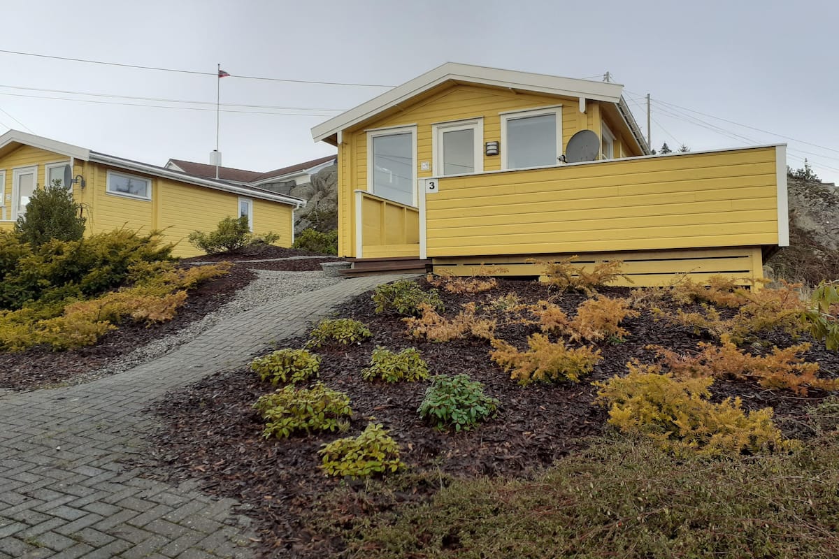 A yellow bungalow-style house with a paved driveway and a small garden area with various shrubs.