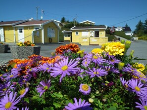 A yellow building with a sign that reads "RESIDENCE" and a small entrance. - Skudenes Camping (Karmoy)