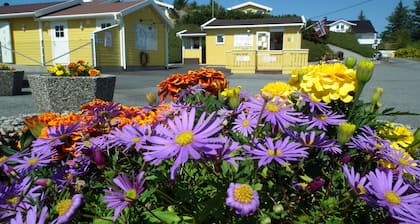 Skudenes Camping