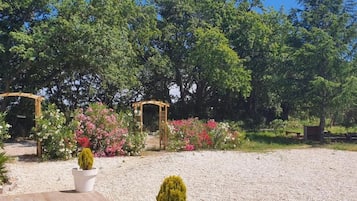 Terrein van de accommodatie