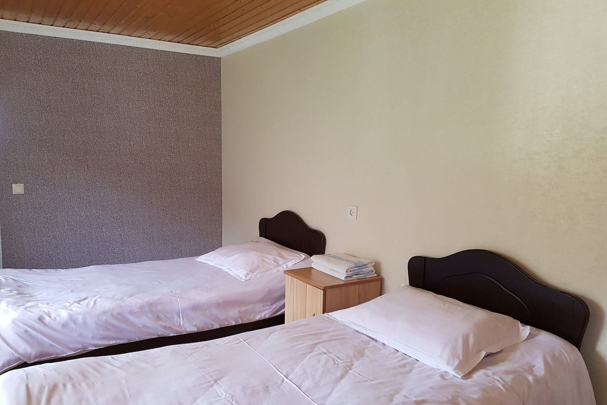 Chambre Classique avec lits jumeaux, 2 lits une place, vue montagne | Chambres insonorisées, Wi-Fi gratuit, draps fournis