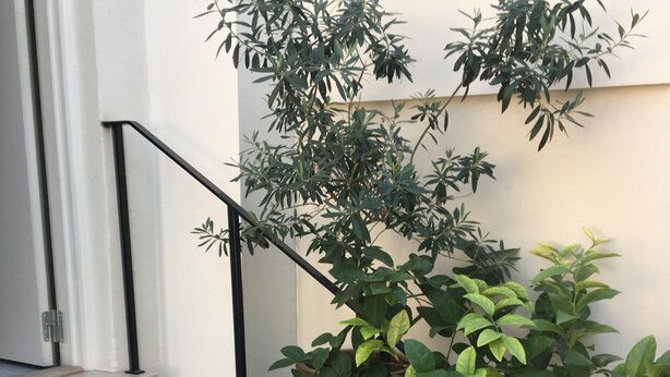 A staircase with a metal handrail, a potted plant, and a wall-mounted light fixture. - Stephansens Hotel (Randers)