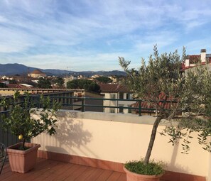 Basic Penthouse | Balcony