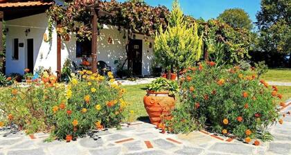 Dionysos Apartments