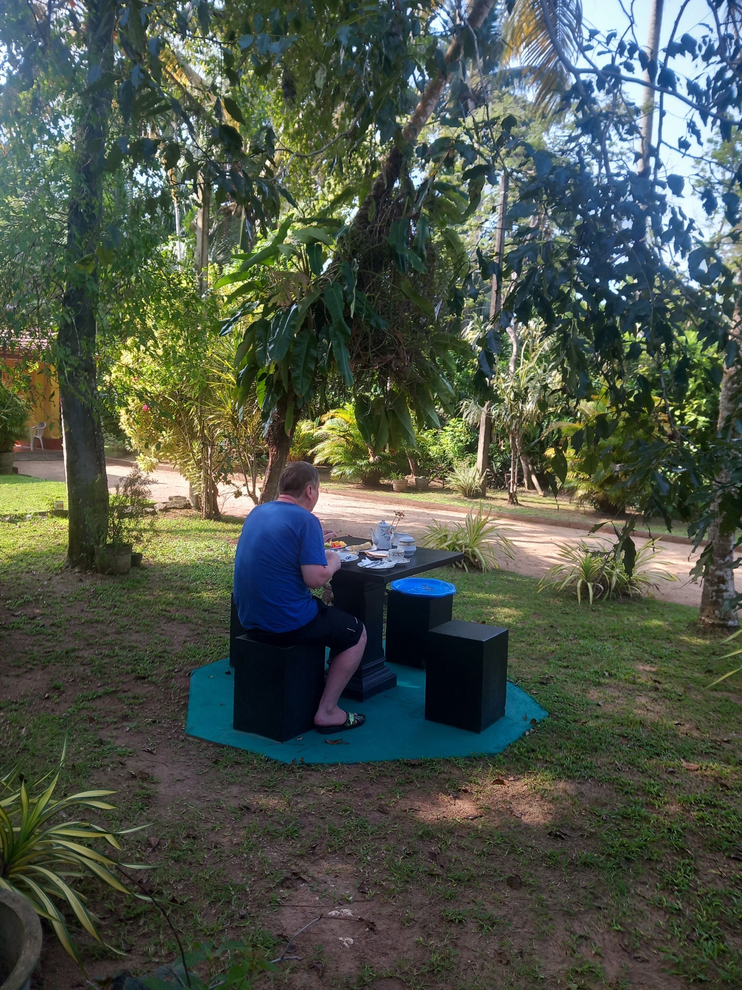 A person sitting at an outdoor table with a green mat, surrounded by trees and plants.