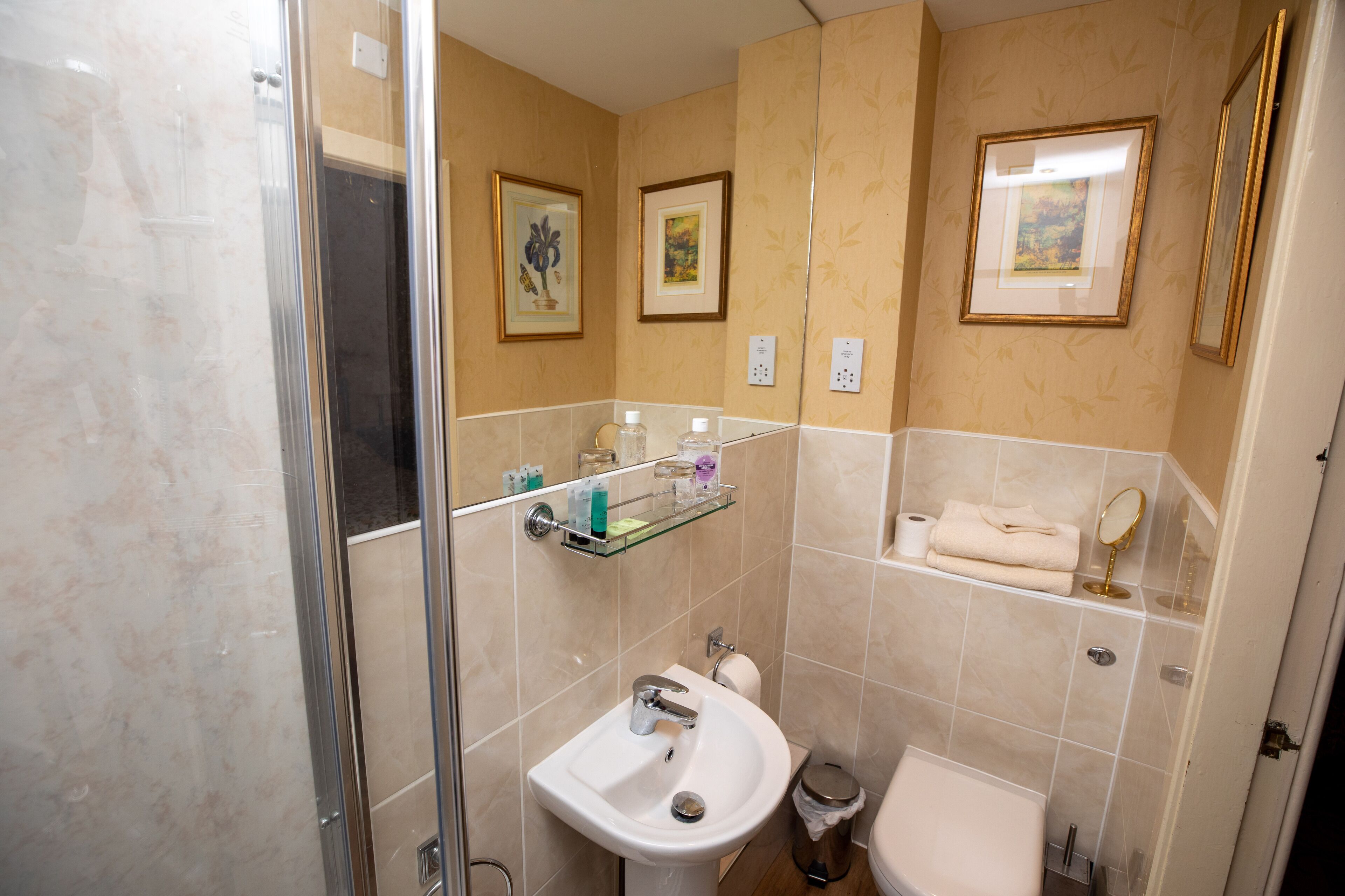 A bathroom with a glass shower enclosure, a white sink, a toilet, and a shelf with toiletries.