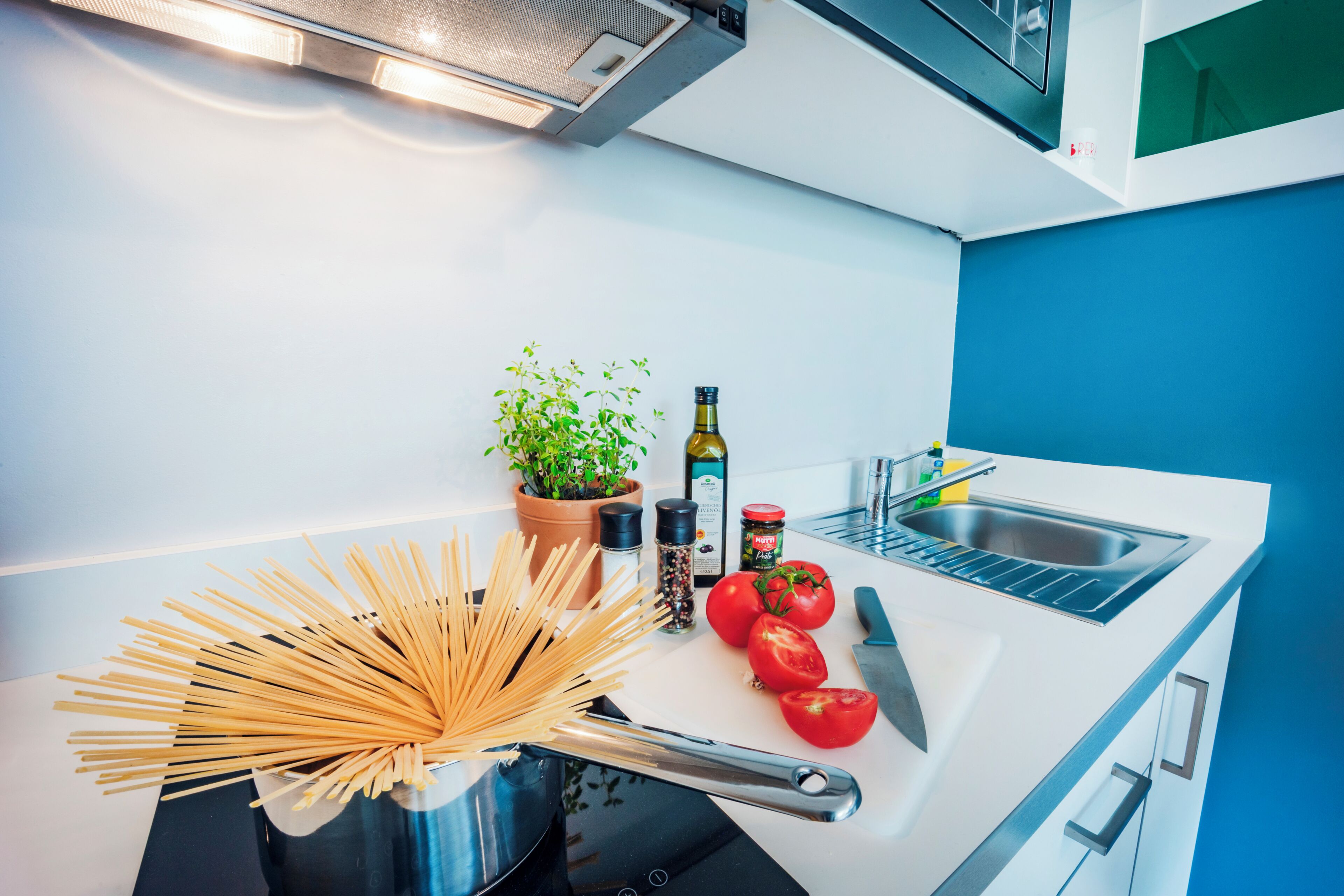 Una cocina moderna con encimera blanca, pileta, estufa y una planta en maceta.