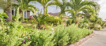 La Casa De Playa Ocho Rios