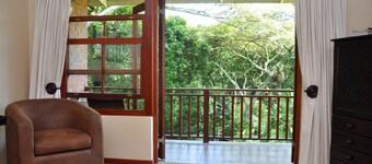 Birds of paradise B&B