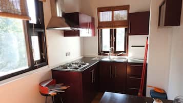 Double Room, 1 Bedroom, Kitchenette, Mountain View | Private kitchenette | Fridge, oven, stovetop, dishwasher