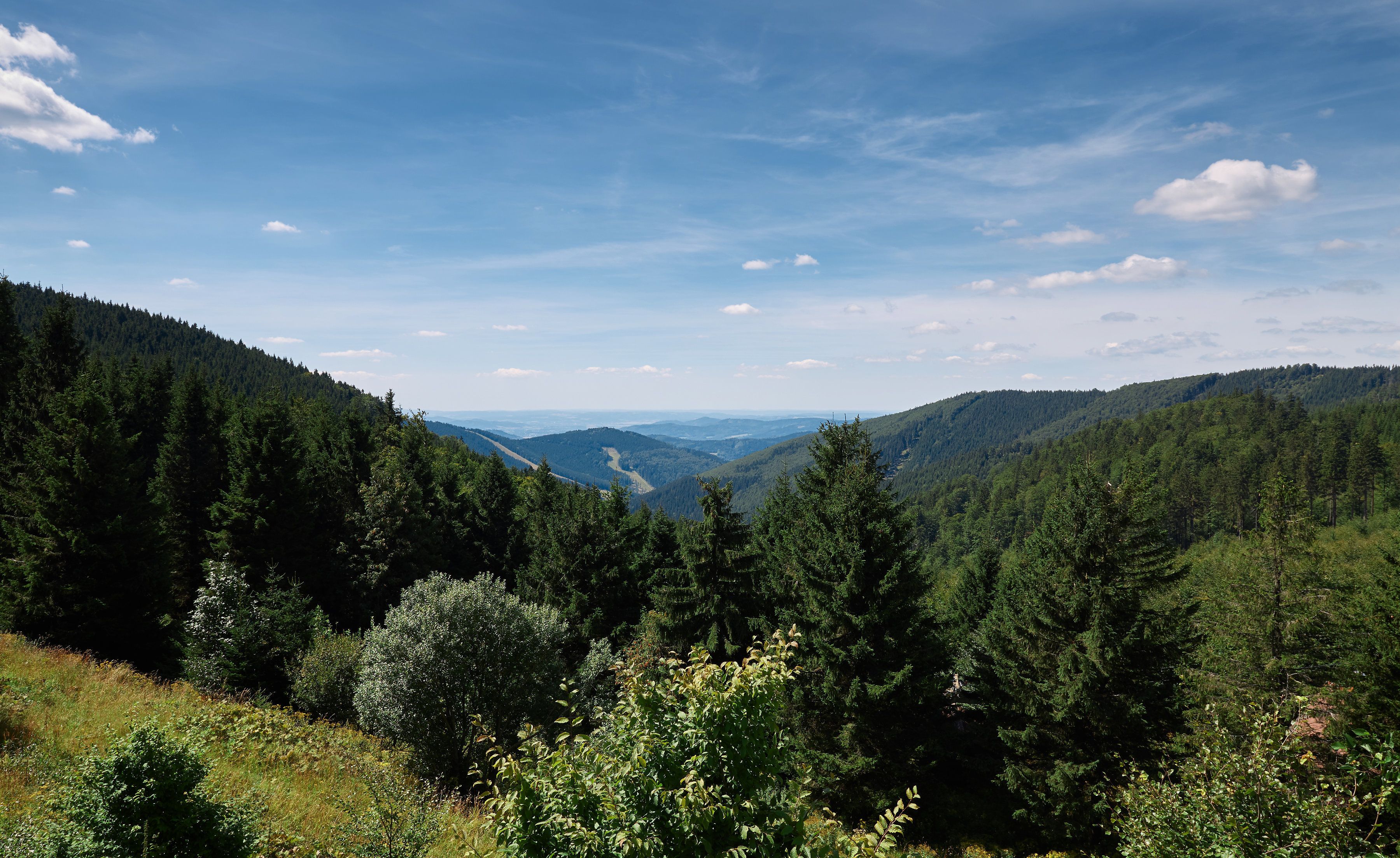 Un paisaje montañoso con densos bosques y cielo despejado.