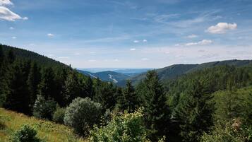 Un paisaje montañoso con densos bosques y cielo despejado.