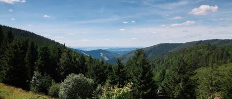 Un paisaje montañoso con densos bosques y cielo despejado.