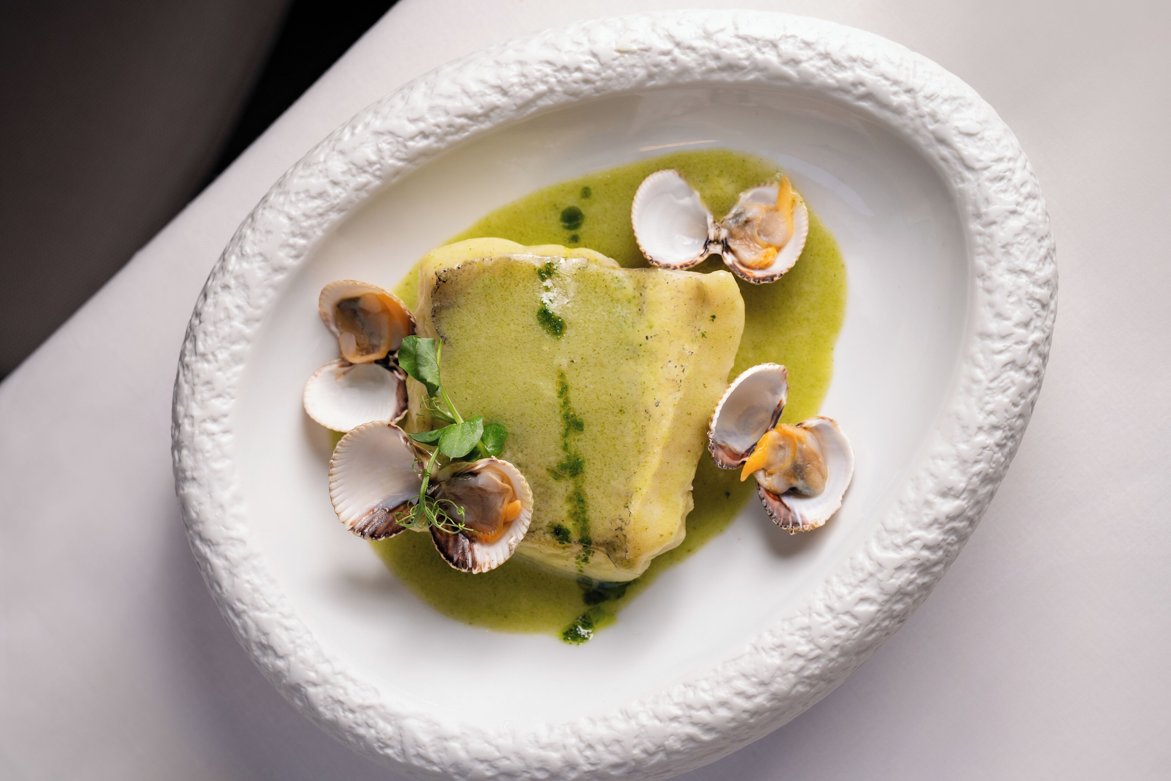 Un plato blanco con salsa verde, almejas y un trozo de pescado.
