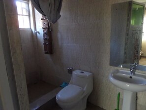 A bathroom with a toilet, a sink, and a shower area.