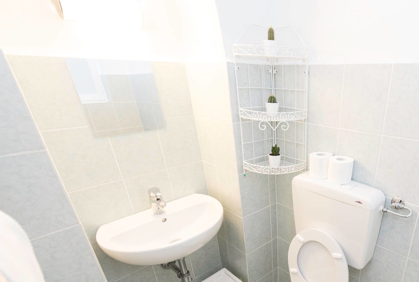 Un baño con lavamanos blanco, inodoro y repisa metálica blanca con dos plantas en macetas y dos rollos de papel higiénico.