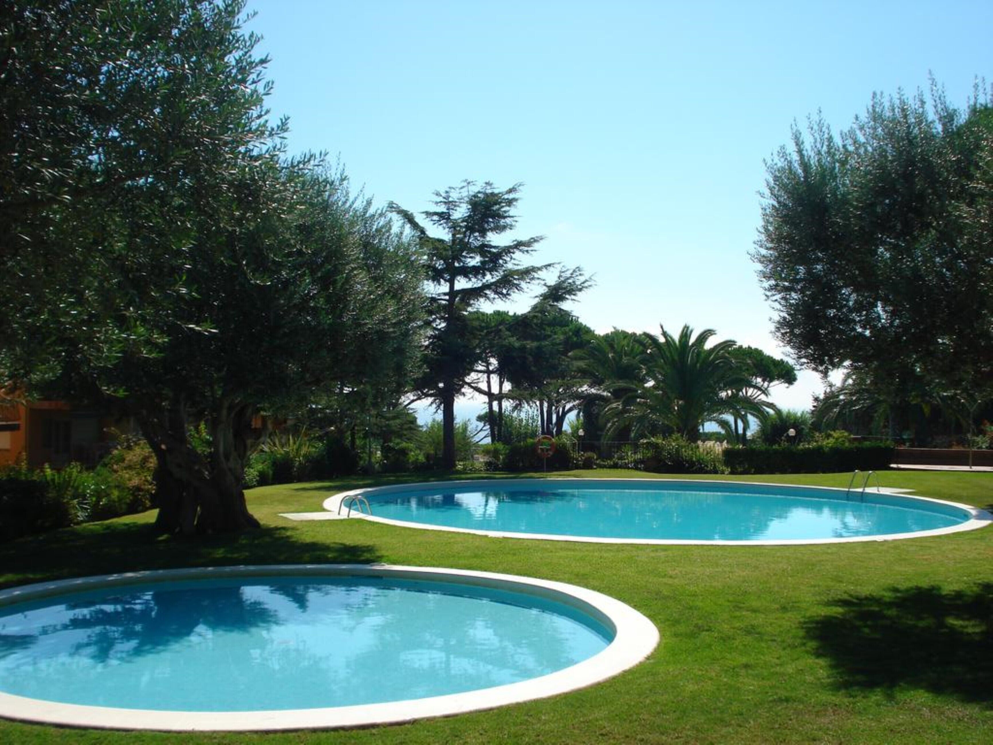 A pool area with two circular pools surrounded by grass and trees.
