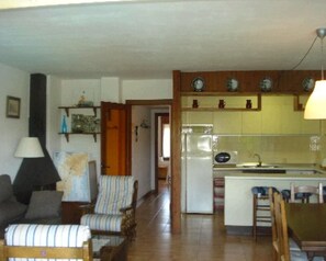 Family Apartment, 2 Bedrooms, Mountain View | Living room | TV, fireplace