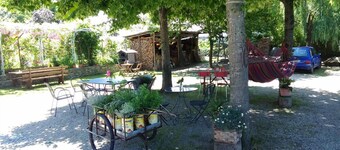 Il Germano Reale