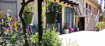 Il Germano Reale