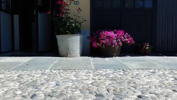 L'ingresso di un edificio con un'area pavimentata in pietra, una grande pianta in vaso con fiori rosa e un cancello nero.