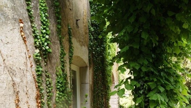 Entrada de la propiedad