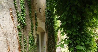 Gite De Pierre et de Lumière