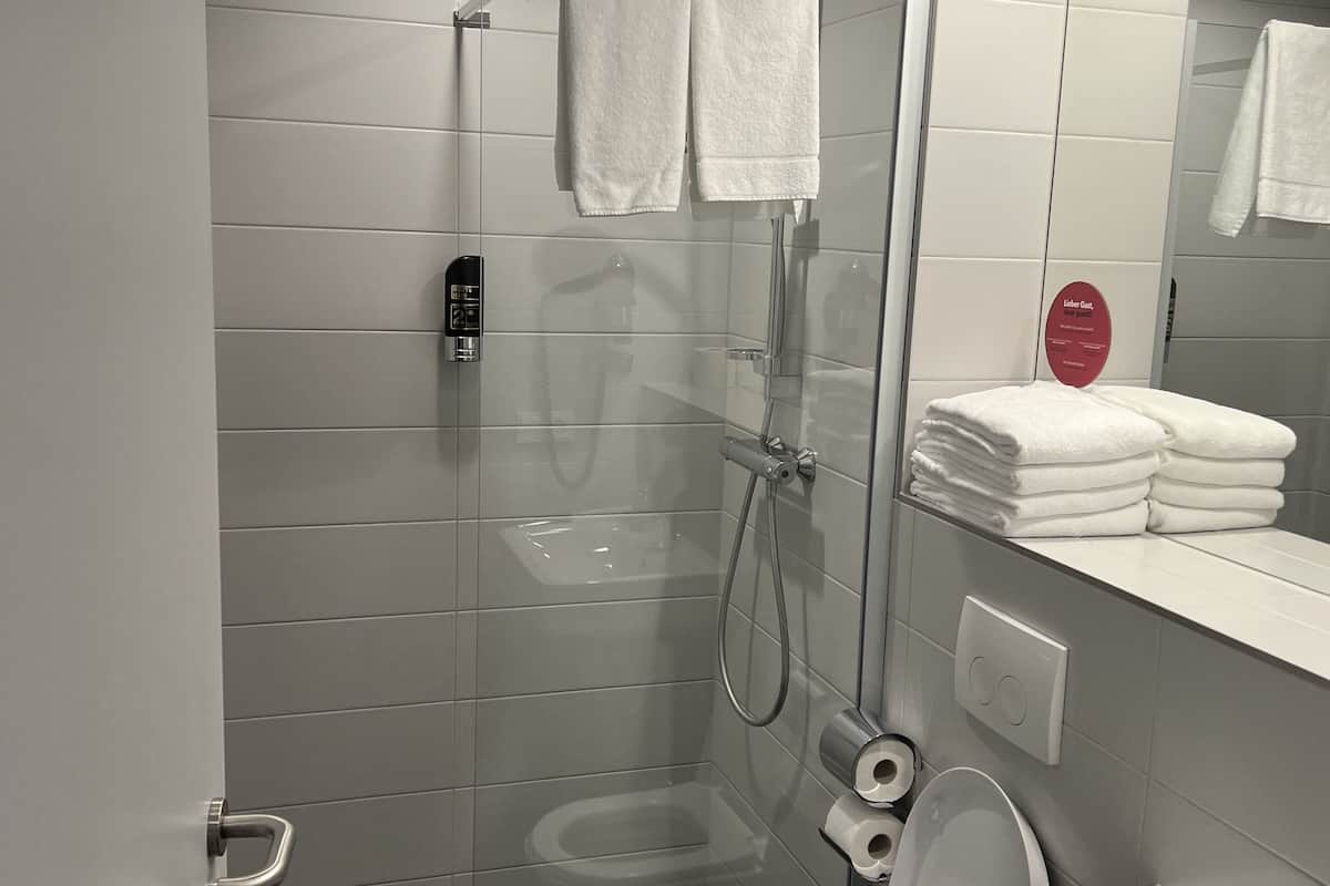 shower, free toiletries, hair dryer, towels