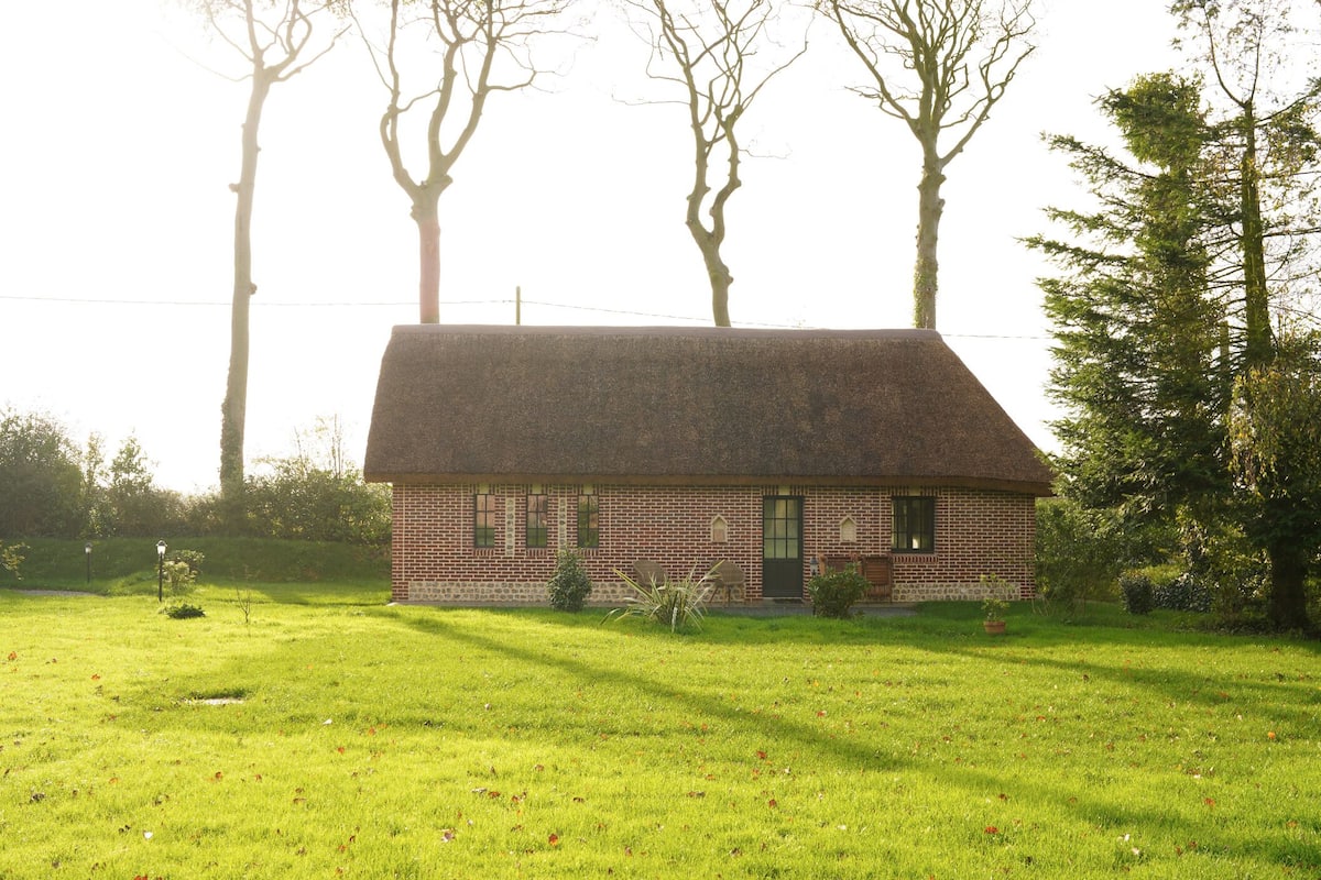 Deluxe-Suite | Hochwertige Bettwaren, Select-Comfort-Betten, kostenloses WLAN