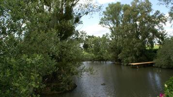 Een rustgevende oever met een houten bankje en weelderige begroeiing.