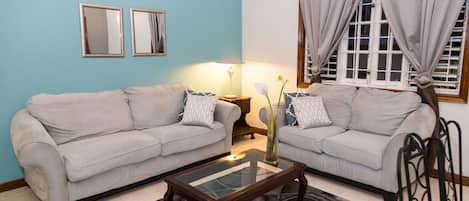 50-inch flat-screen TV with cable channels, TV, DVD player