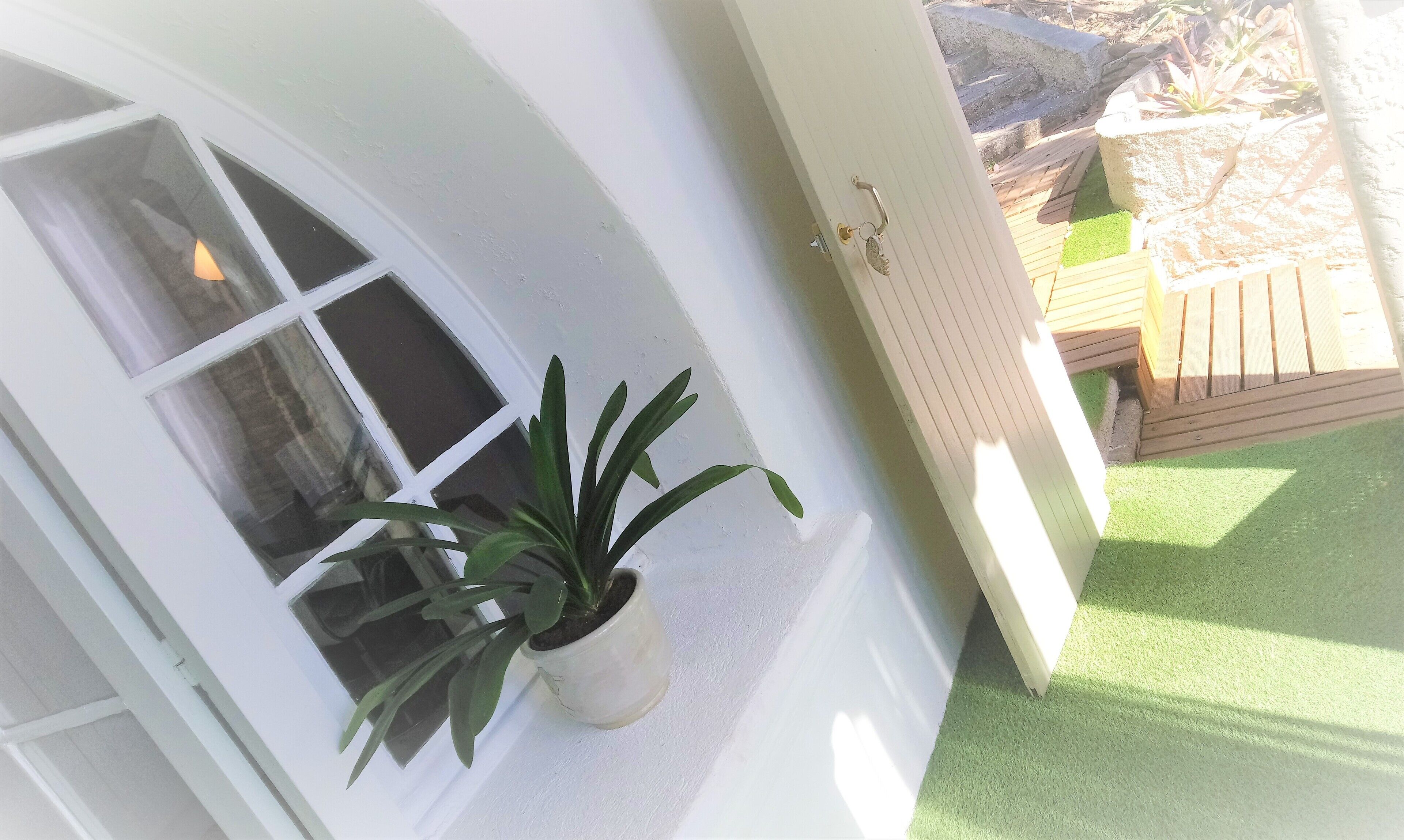 A white exterior wall with a window and a potted plant.