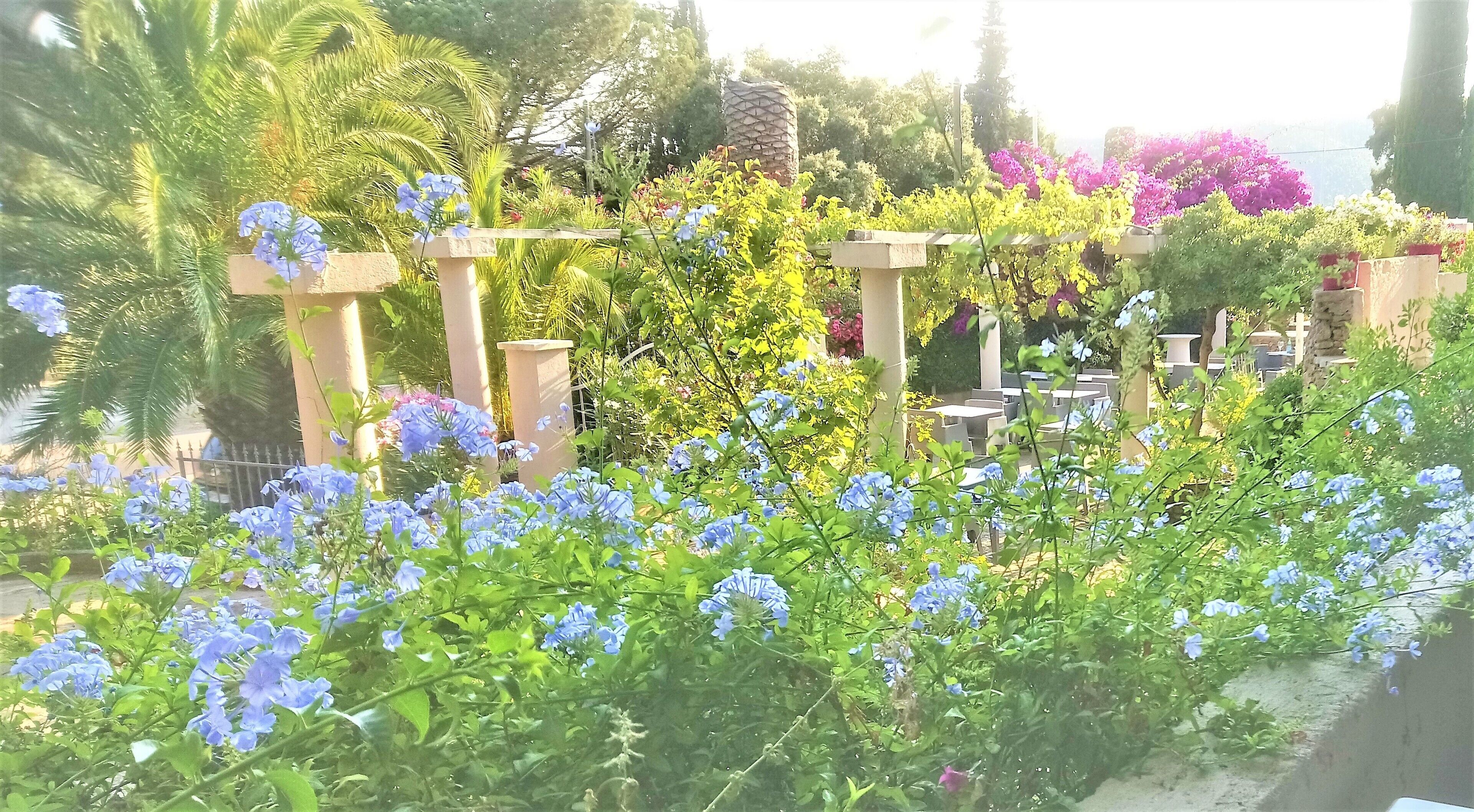 Een tuin met blauwe bloemen, een pergola en een zithoek met tafels en stoelen.