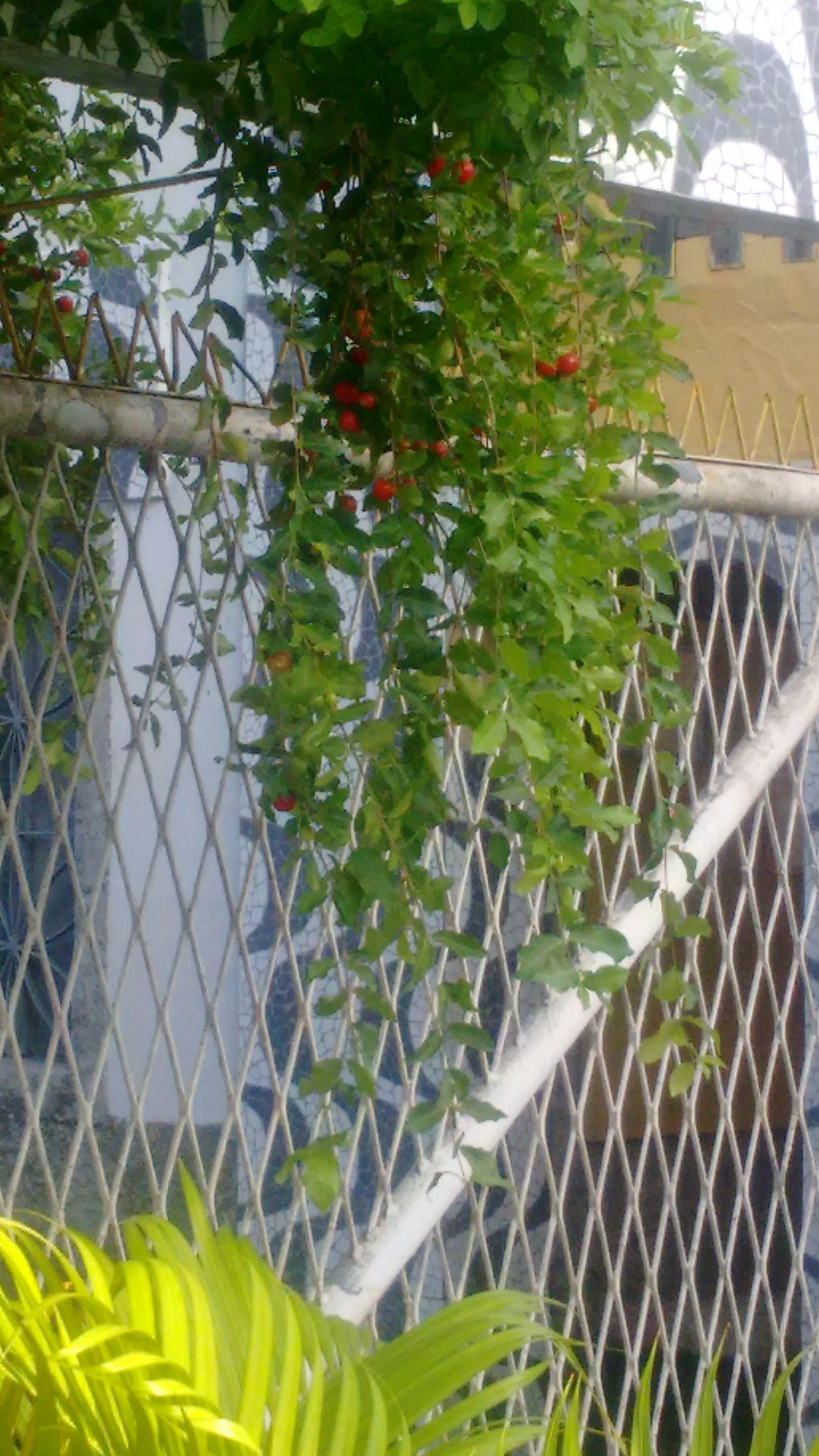 Fachada da propriedade