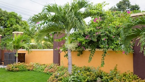 Un jardin bien entretenu, agrémenté d’un palmier, de plantes à fleurs et d’un mur jaune.