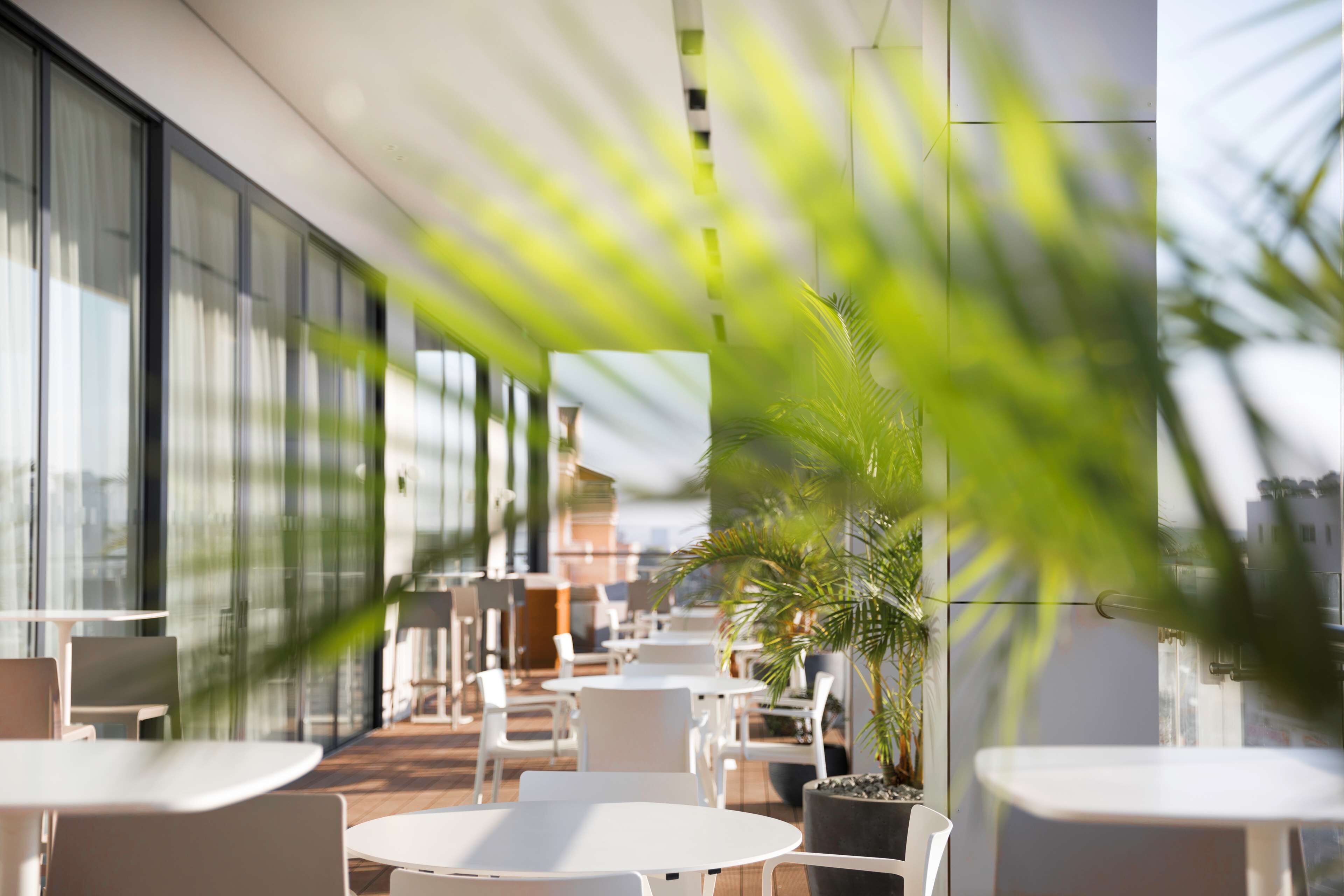An outdoor seating area with round tables and chairs, large windows, and potted plants.