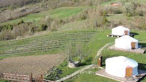 A rural landscape with yurts and a vineyard. - Società Agricola Cacigolara (Borgo Val di Taro)