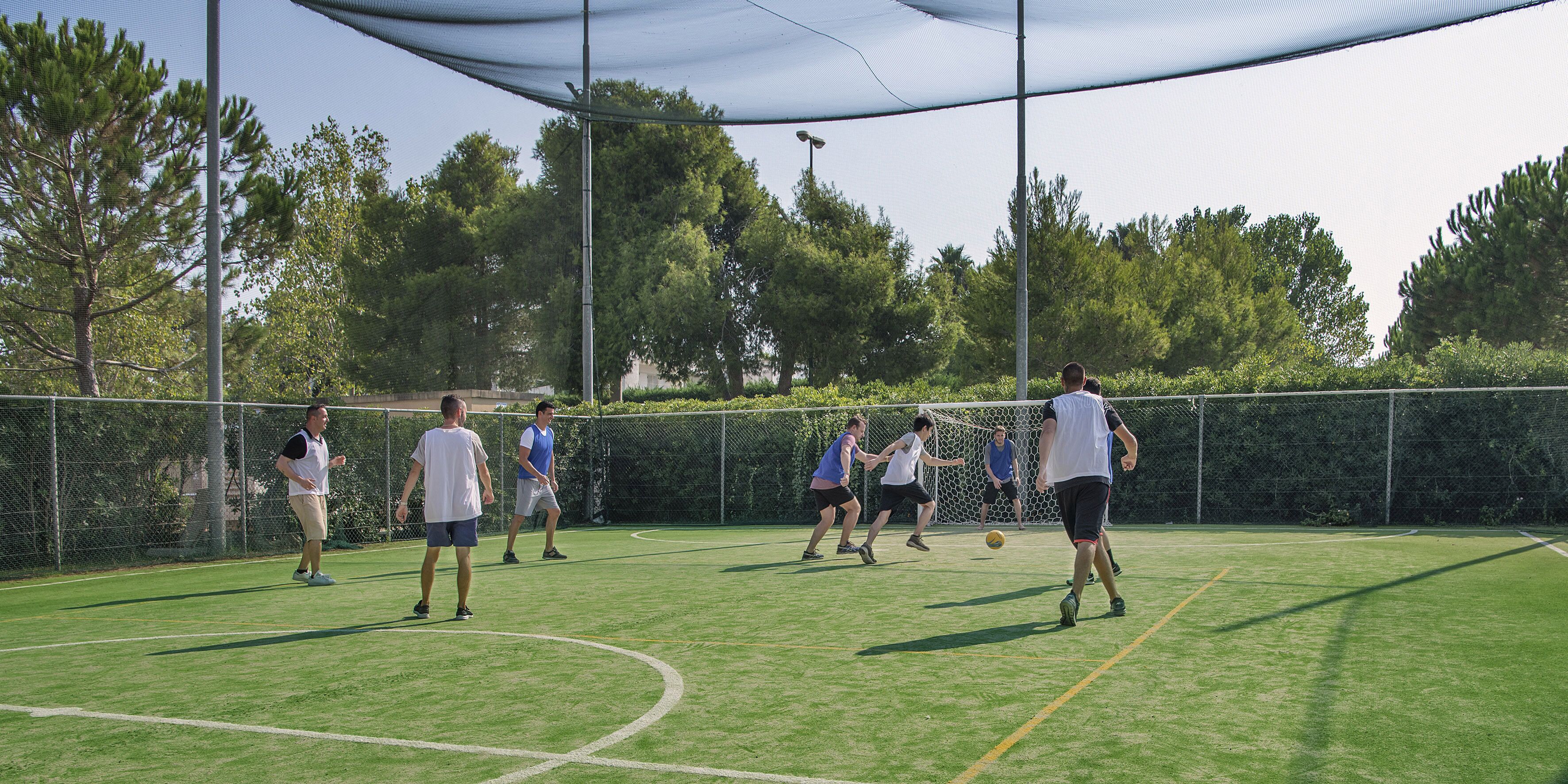 Un campo sportivo all'aperto con recinto di rete e alberi sullo sfondo.