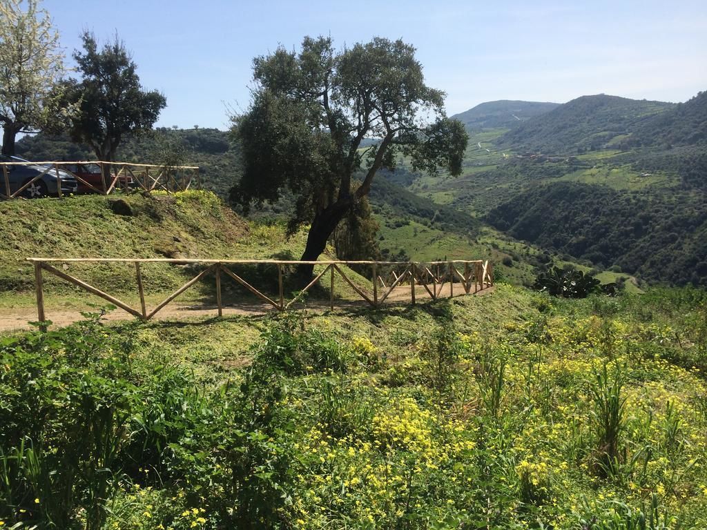 Un paysage rural avec un pont en bois, un grand arbre et des collines douces en arrière-plan.