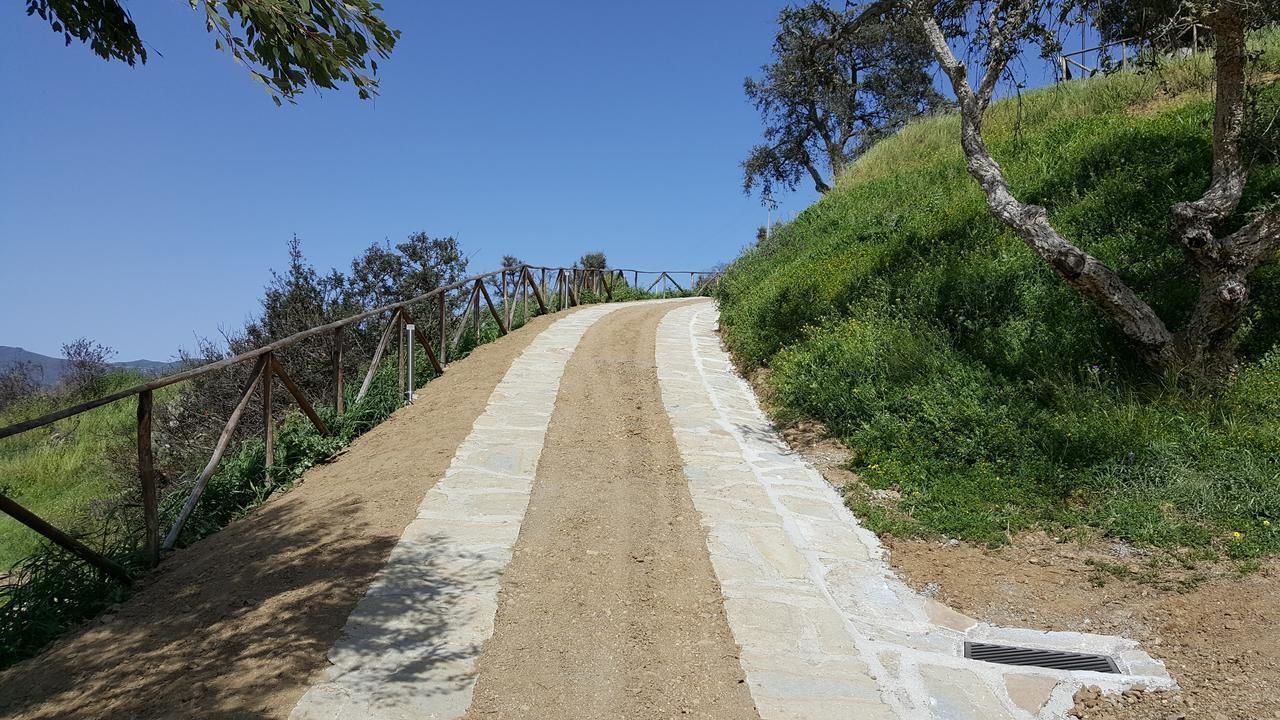 A dirt path with a stone border, flanked by wooden railings and greenery, leading uphill.