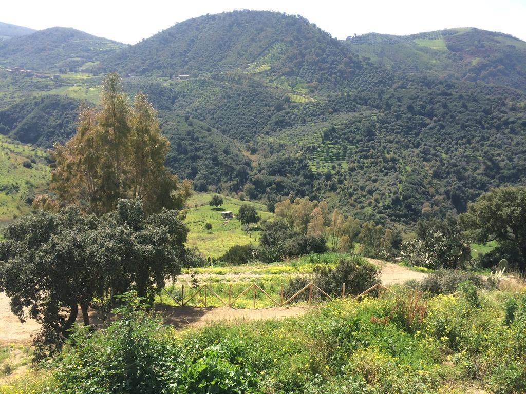 A mountainous landscape with a tree in the foreground and a dirt path leading through the valley.