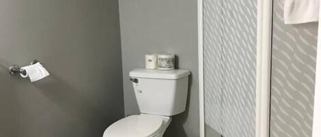 Ein Badezimmer mit Toilette, einer Dusche mit Glastür und Holzboden.
