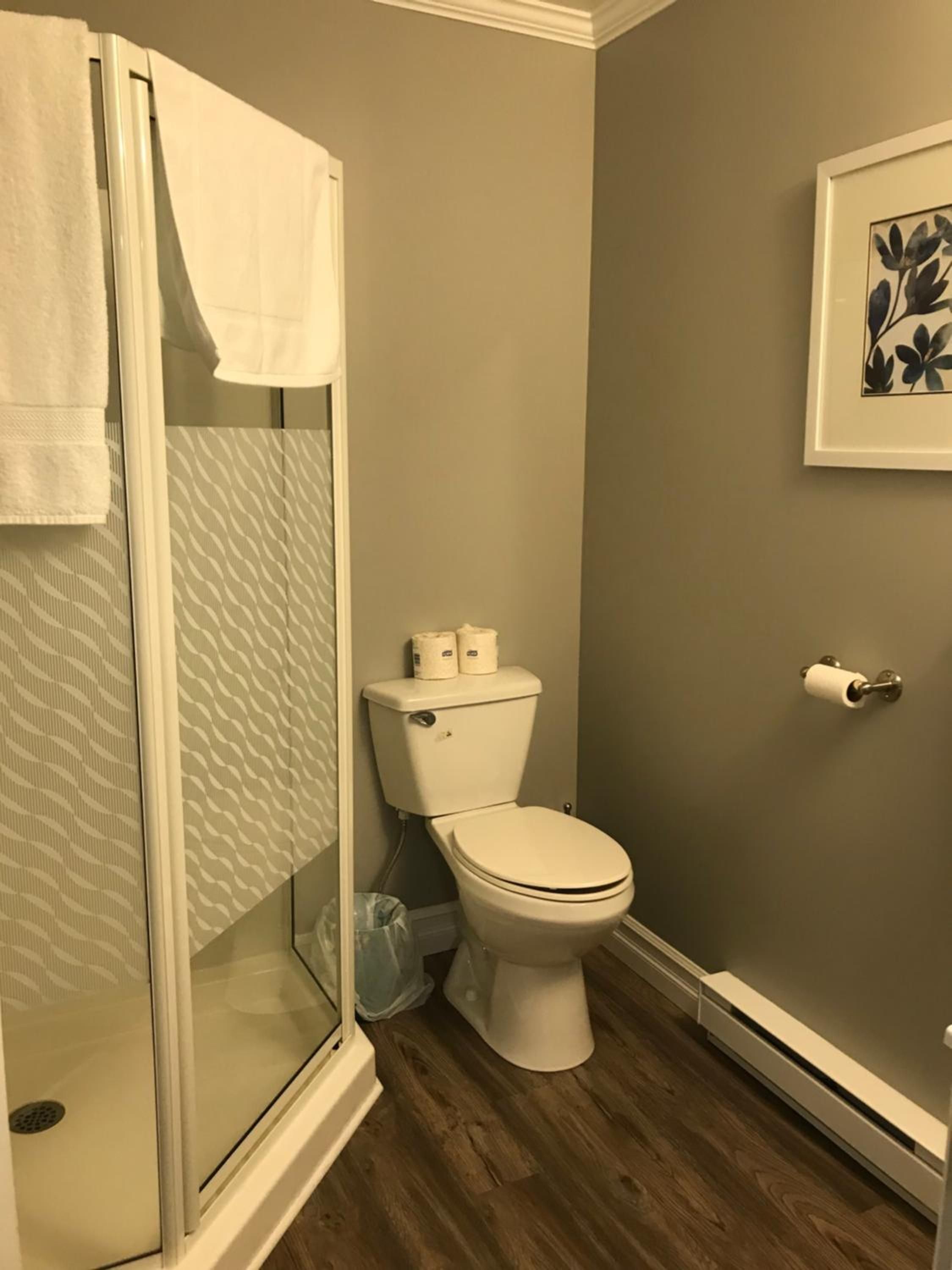 A bathroom with a shower, toilet, and a framed picture on the wall.